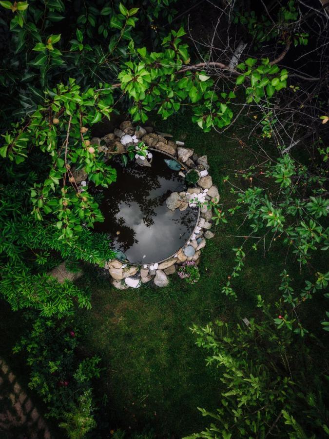 Casuta De Sub Deal - Ciubar Si Piscina Villa Magura  Bagian luar foto